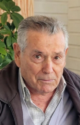 FRANCISCO ANDREO GOMEZ   