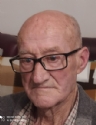 ANDRES CANOVAS ALEDO    A LOS 83 AÑOS